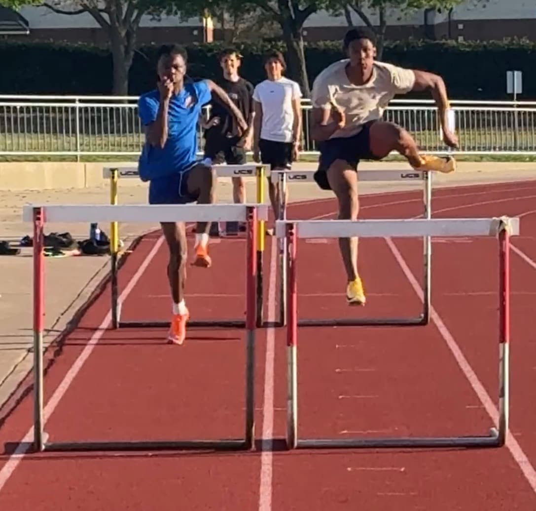 Hurdle Training