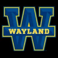 Wayland Baptist logo